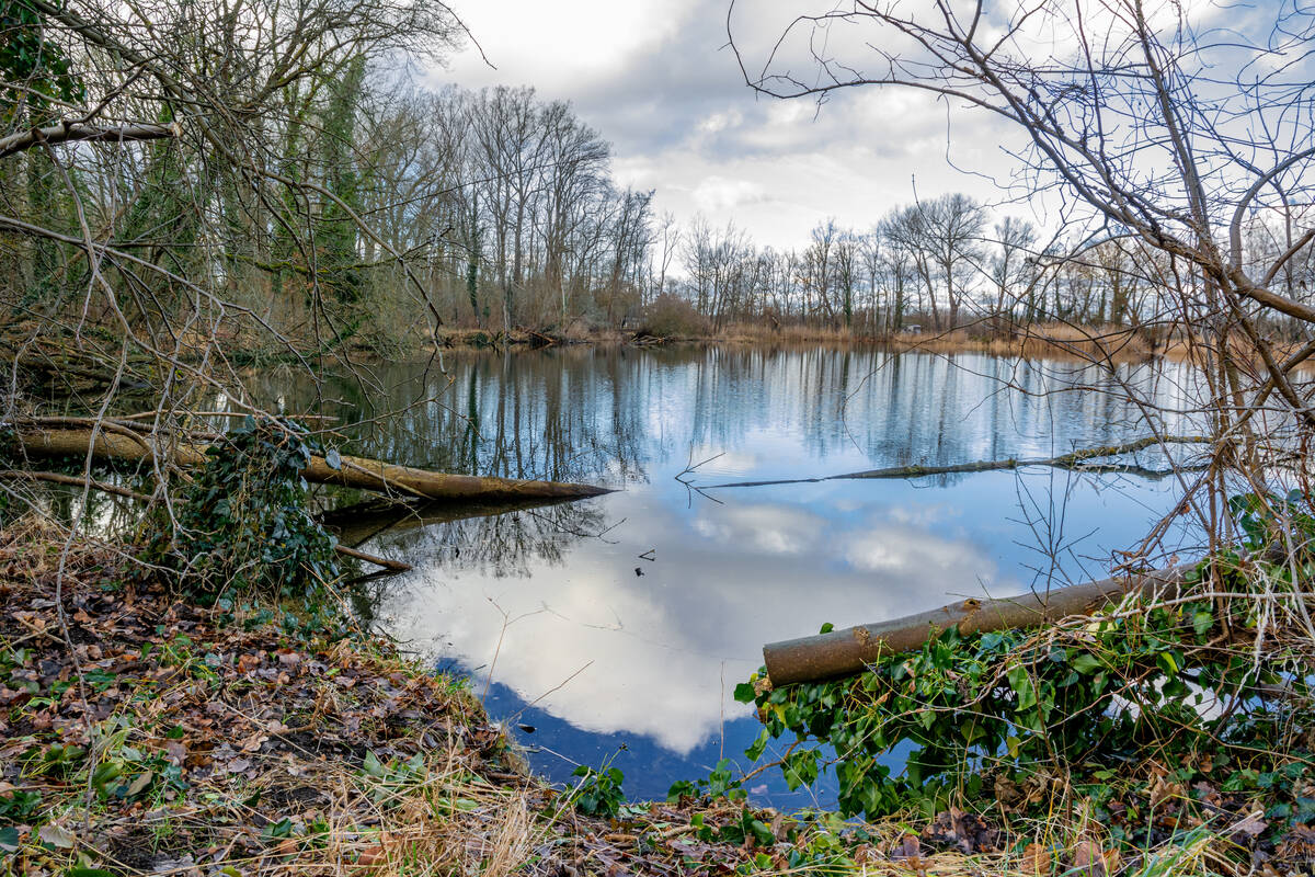 Fischteich im Winter im Fuchsbruch Nähe Brandenburg/Havel