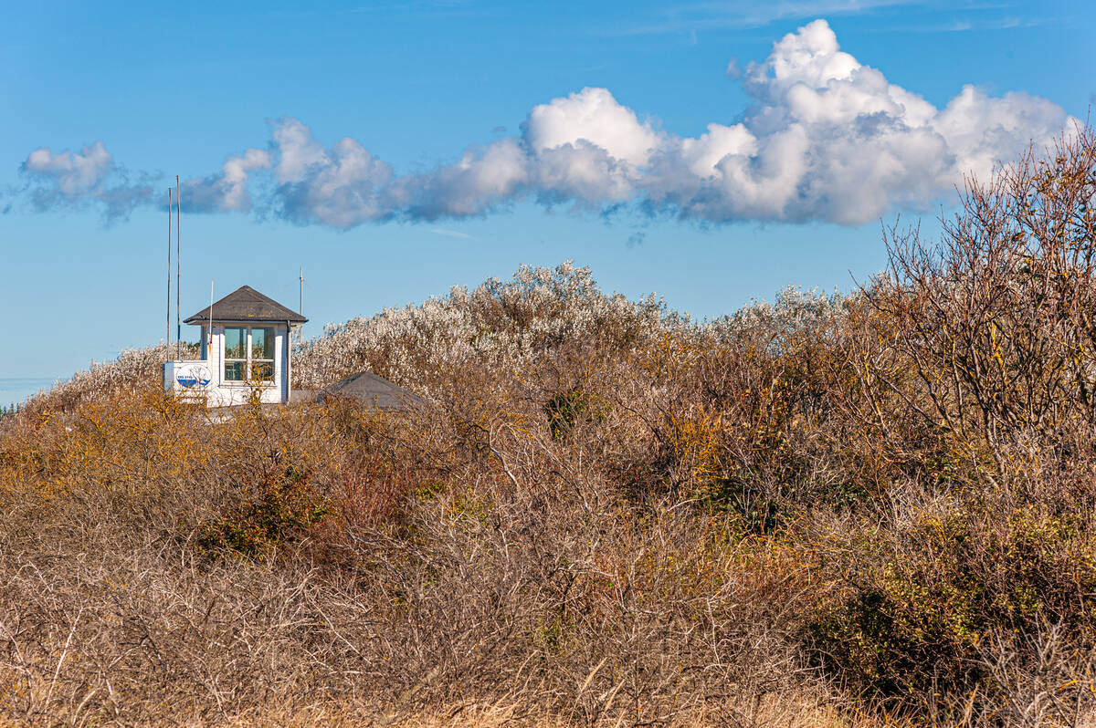 Küstenwachturm an der Ostsee in Ahrenshoop