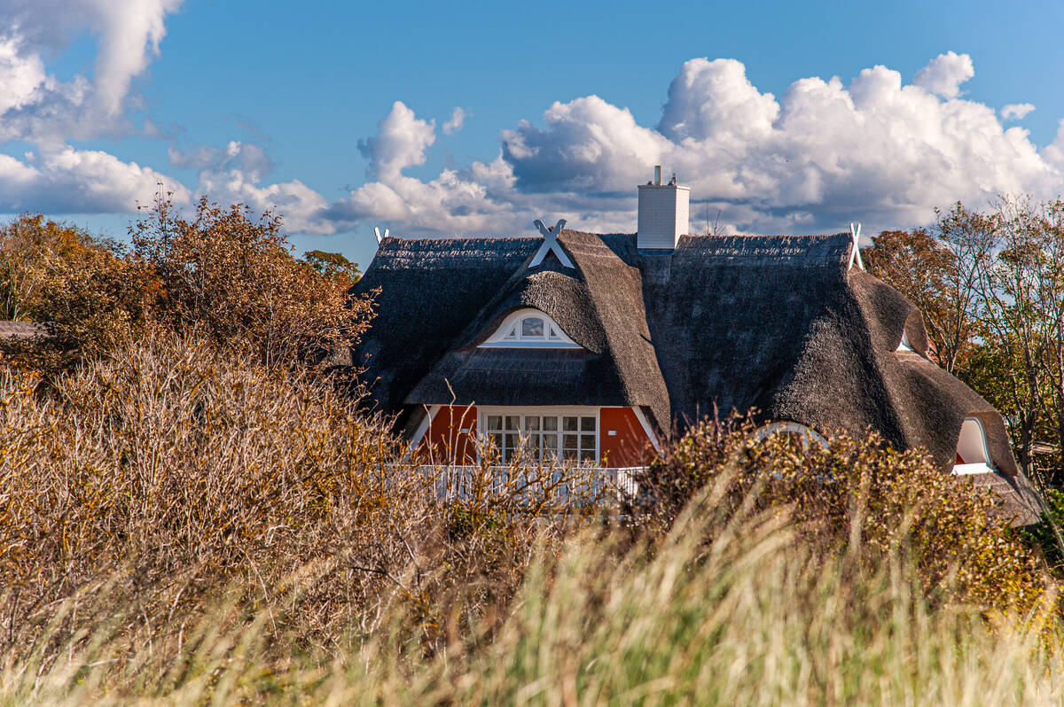 Reetgedecktes Haus hinter Herbstvegetation