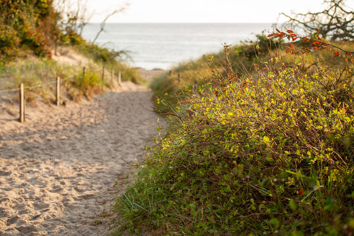 Sandweg durch die Dünen zum Meer nach dem Regen – Blende f/2.8