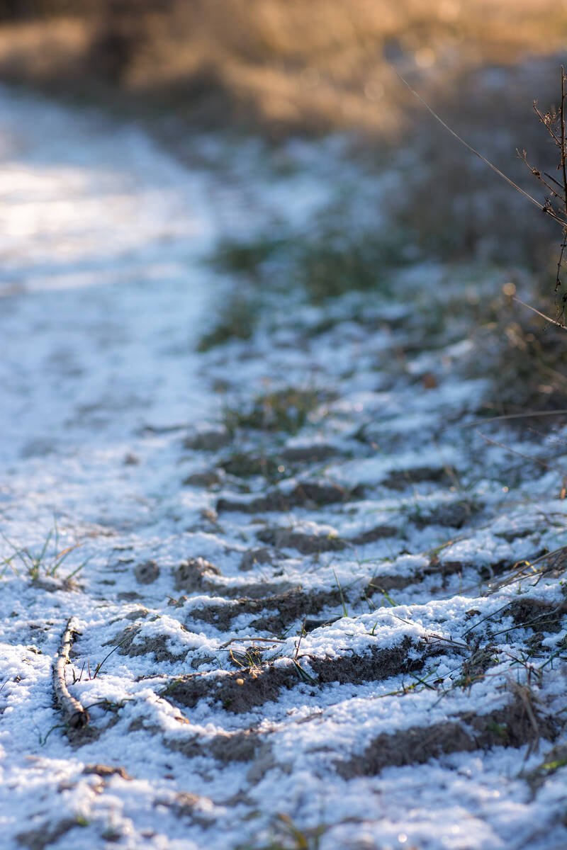 Traktorspur am Rand eines Feldweges mit etwas Schnee; Sonnenflecken auf dem Boden und dem Hintergrund