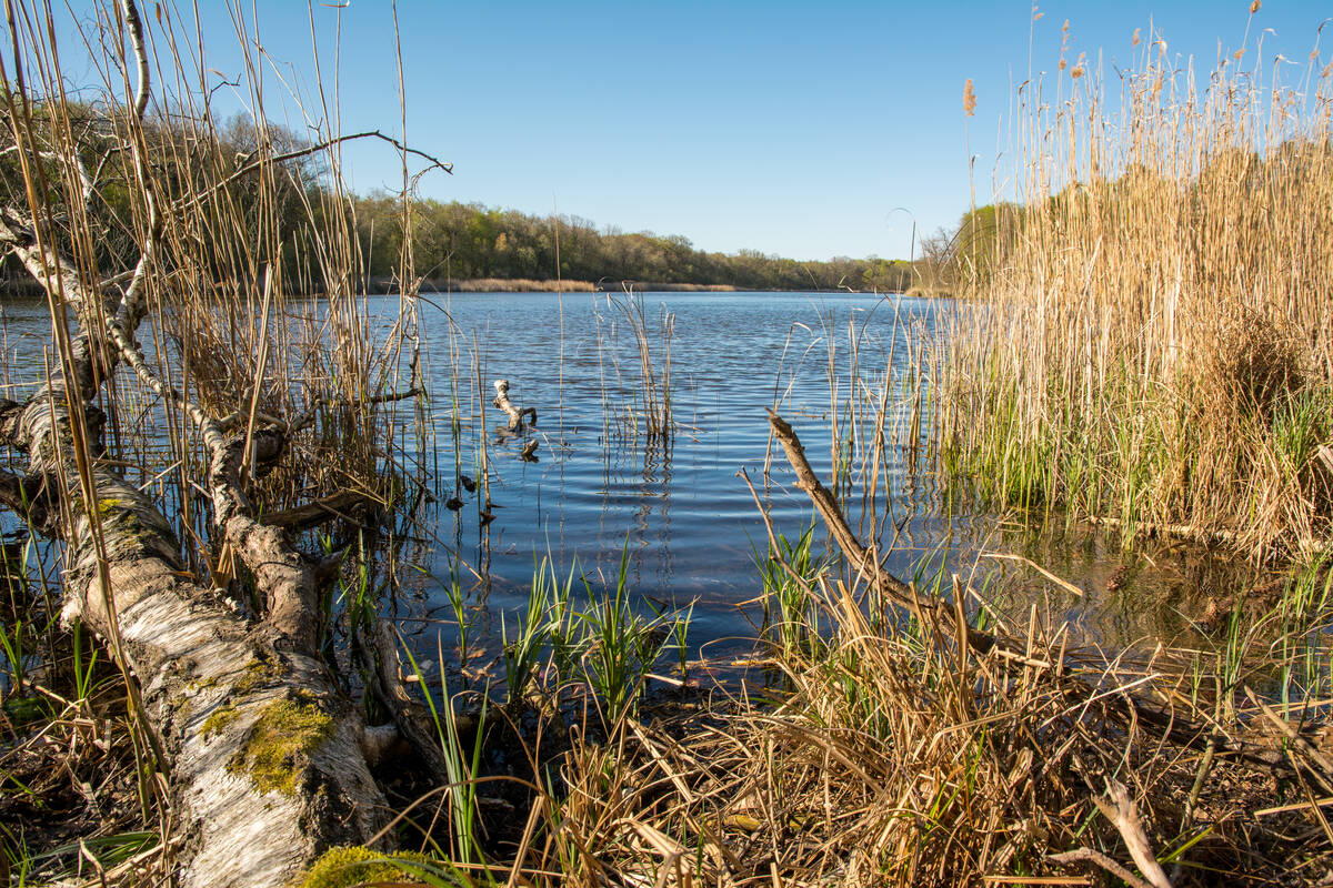 Ufer des Bohnenländer Sees Mitte April unter strahlend blauem Himmel