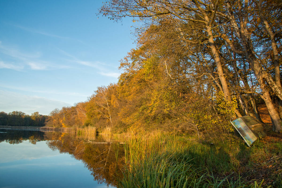 Ufer des Bohnenländer Sees in der Abendsonne bei strahlend blauem Himmel