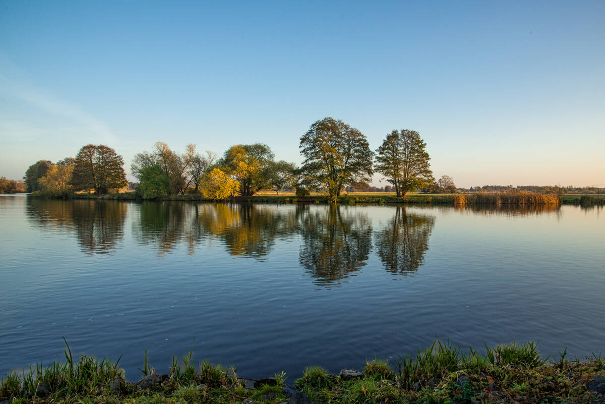 Ufer der Havel mit Bäumen im Abendlicht, die sich in der Wasserfläche spiegeln