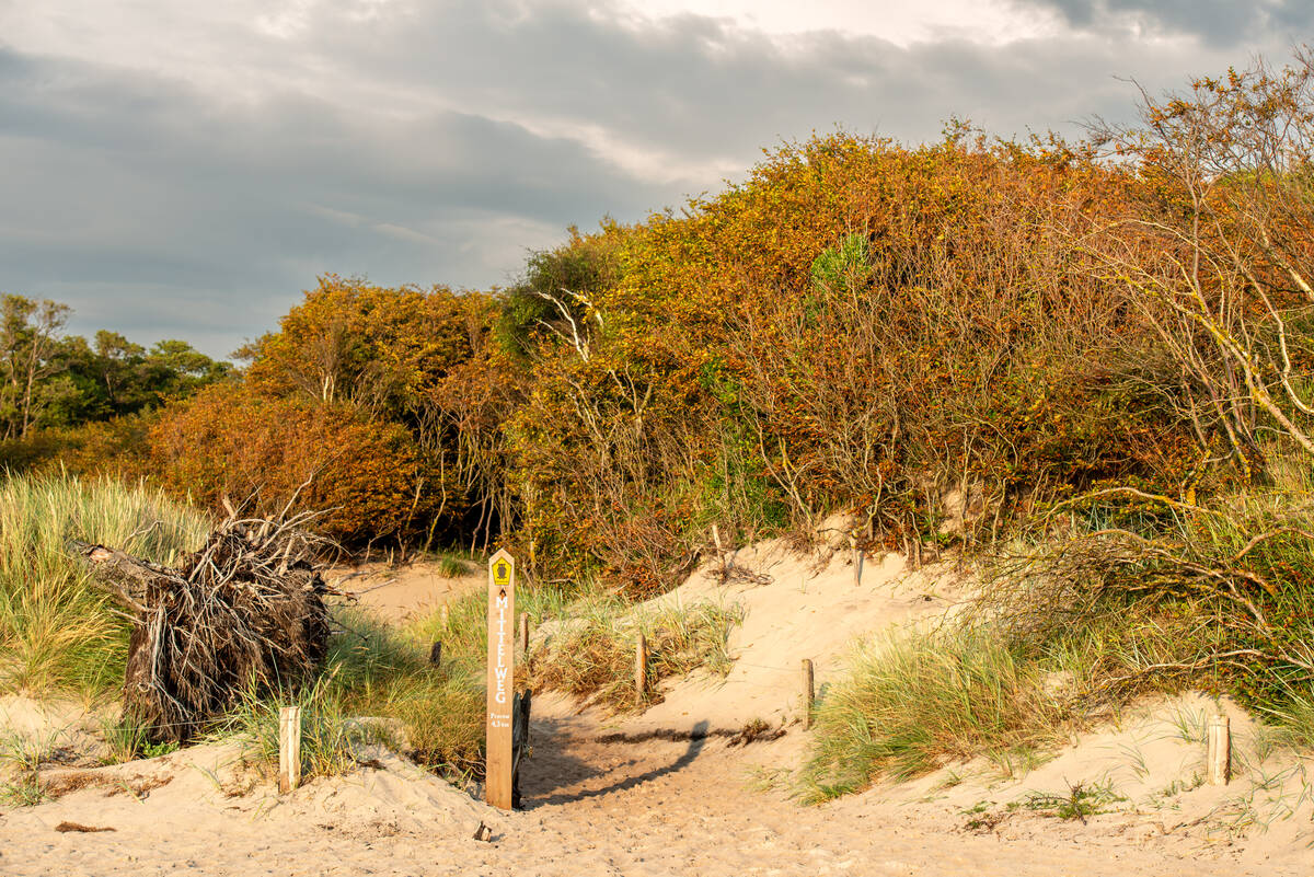 Weg vom Ostsee-Strand in den Darßwald