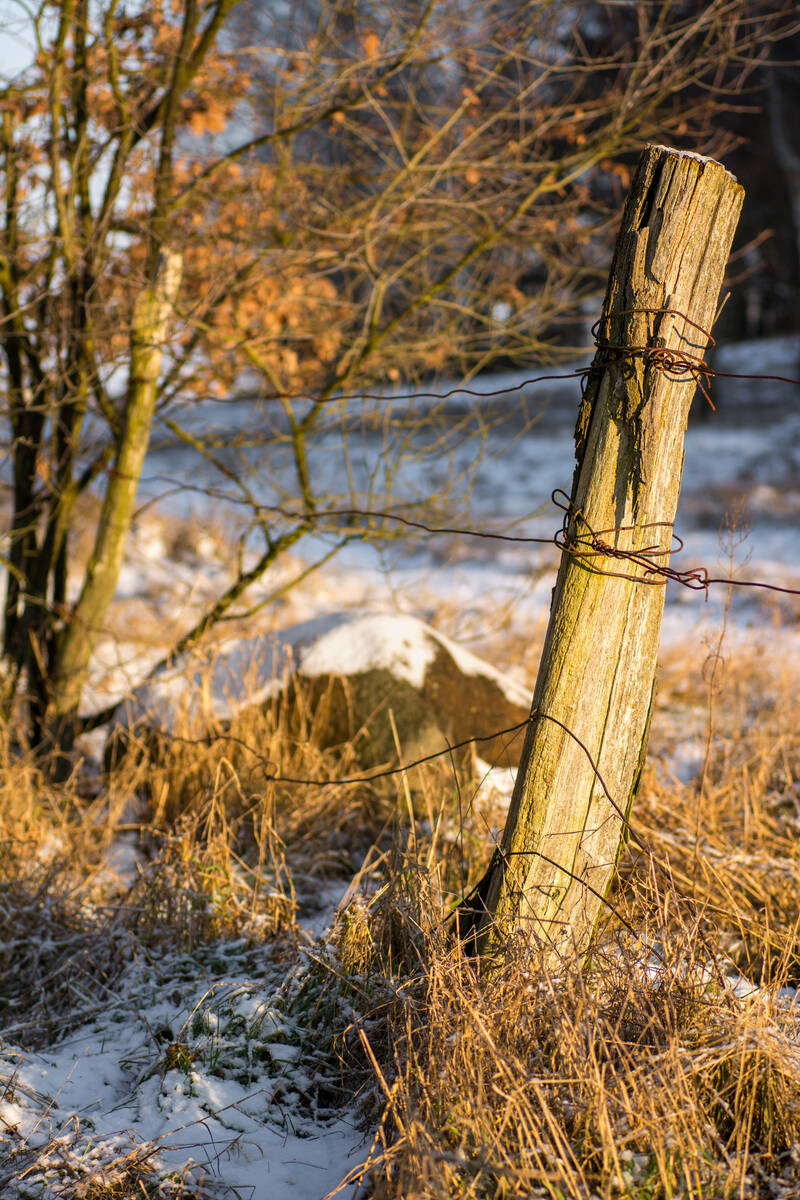 Zaunpfahl am Feldrand mit Schnee